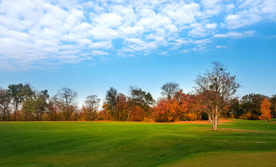 Fototapeta na wymiar Green meadow in autumn park, panorama