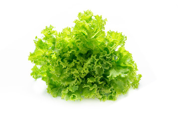 Green lettuce on white background.
