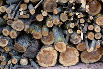 Round firewood, stacked in woodpile