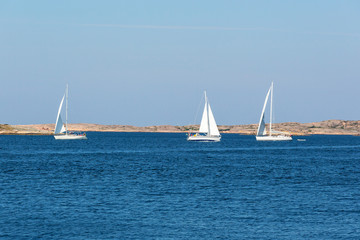 Fototapeta premium Sailboats at sea