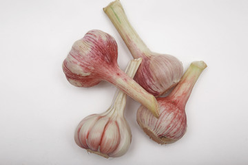 young garlic on white background