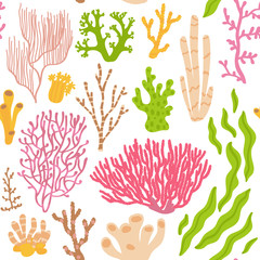 Coral seamless pattern. Sea plants on a white background. Vector illustration