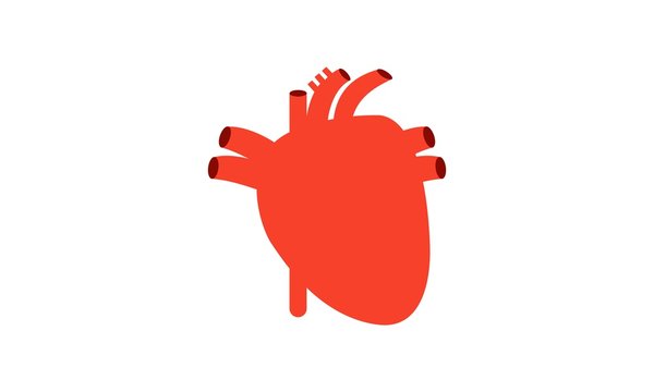 Heart human internal organ logo