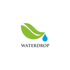 Water drop logo design vector template
