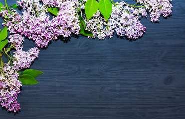 lilac flower on black wooden background. Beautiful background of branches of blooming lilac. Vintage background.
