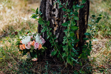 flowers in the forest