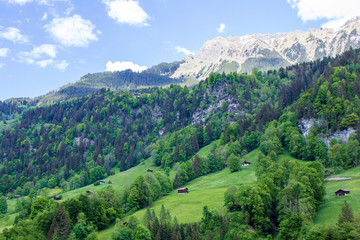 Fototapeta na wymiar Lauterbrunnen. Swiss Alps. Valley of waterfalls. Mountain village