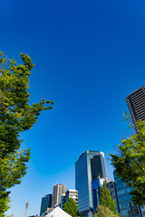 Fototapeta premium 淀屋橋 周辺風景