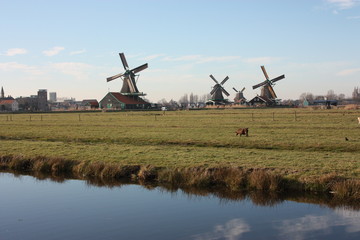 Naklejka premium tourist trip to Zaanse schans on a sunny day, among the typical and characteristic windmills of Holland and its waterways