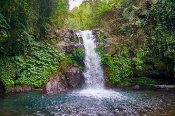 The waterfall is a popular tourist destination in Bali, known for its surrounding attractive foliage