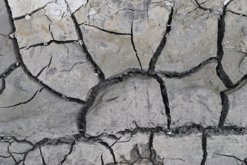The soil