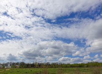 Fototapeta na wymiar Landscape. The sky with clouds and a strip of forest on the horizon. Russia.