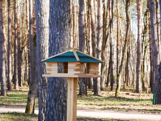 wooden bird feeder in a country Park on a Sunny day.
