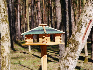 wooden bird feeder in a country Park on a Sunny day