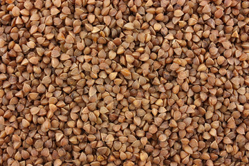background of buckwheat