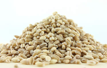 pile of Pearl Barley isolated on white background
