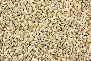 Pearl Barley Background