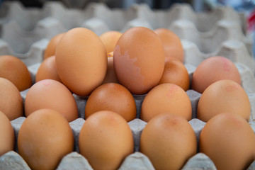 Close-up view of raw chicken eggs in egg box