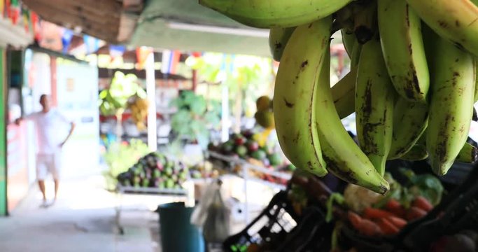 Puntarenas Costa Rica bananas fresh fruit vegetable stand. Central Pacific coast largest city, Puntarenas sits on a long, narrow peninsula. Cruise vacation destination and port. Central America.