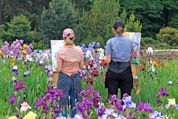 artists draw flowers