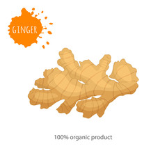 Obraz premium Banner with ginger root and inscription. Template for advertising healthy and healthy food. Vector illustration in cartoon style.