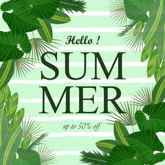 summer background with tropical leaves