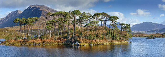 Landscape with lake in Galway county, Ireland