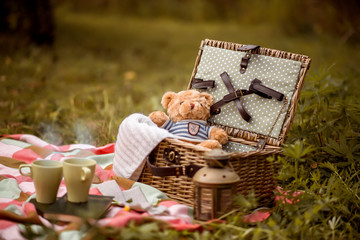 picnic in the park
