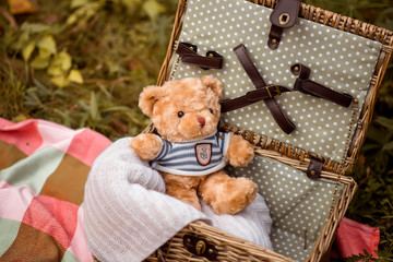 teddy bear in a basket