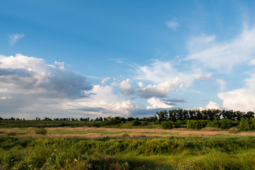 Fototapeta na wymiar Country view with grass, trees and clouds at evening