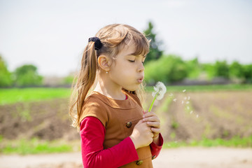 girl blowing dandelions in the air. selective focus.