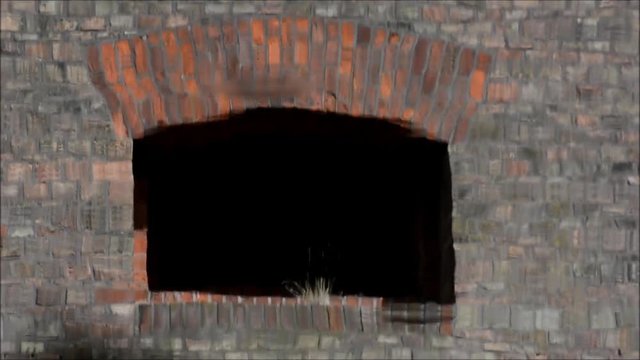 Impressions from Western Ditch in Citadel Park in Berlin Spandau on July 12, 2016, Germany