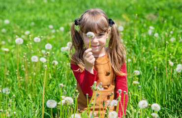 girl blowing dandelions in the air. selective focus.