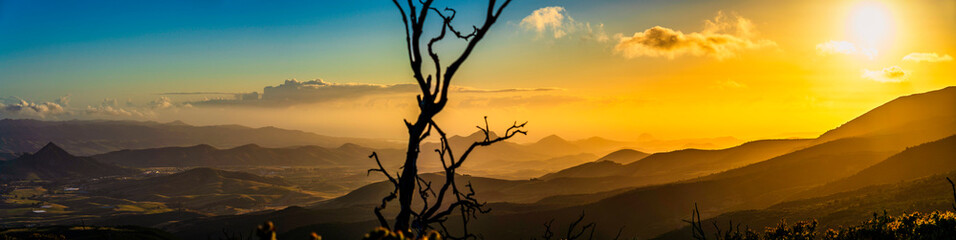 Fototapeta na wymiar Panoramic Mountains at Sunset with Silhouetted tree