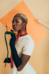 african american model in black gloves posing with Strelitzia flower on beige and orange