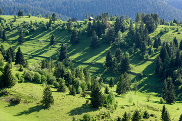 Idyllic green meadows, whit small houses and hay barns. Idyllic green valleys in mountain area. 