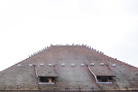 Slovenian roof with pigeons on the ridge