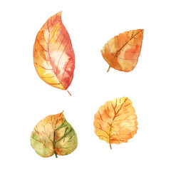 Fototapeta na wymiar Watercolor fall leaves