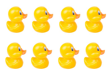 Plastic yellow duck toy isolated on white background