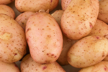 Tubers of young raw potatoes