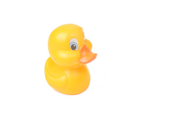 Plastic yellow duck toy isolated on white background