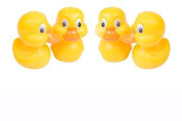 Plastic yellow duck toy isolated on white background