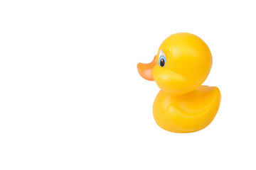 Plastic yellow duck toy isolated on white background
