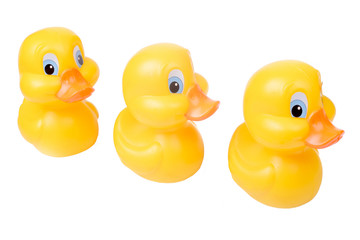 Plastic yellow duck toy isolated on white background