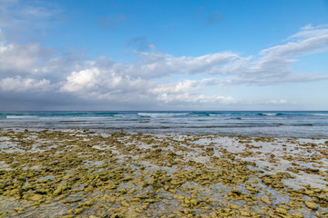 Looking out to sea at low tide, on a beach on the island of Barbados