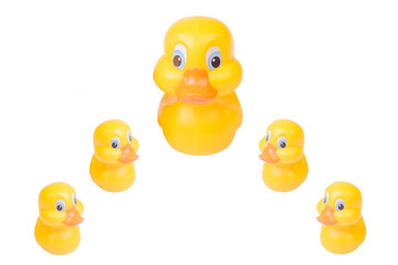 Plastic yellow duck toy isolated on white background