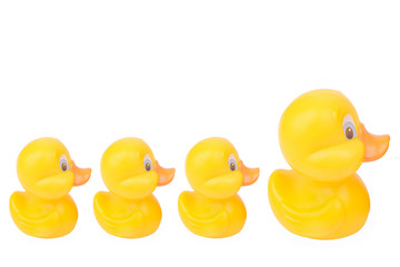 Plastic yellow duck toy isolated on white background