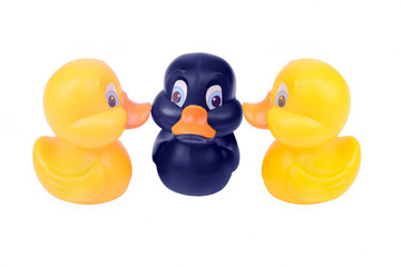 Plastic yellow duck toy isolated on white background