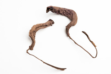 A close-up look at the form, shape and texture of two dried brown leaves set artistically as fine art composed image on a plain white background.