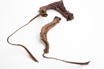 A close-up look at the form, shape and texture of two dried brown leaves set artistically as fine art composed image on a plain white background.